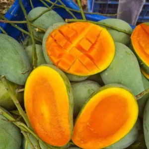 আম্রপালি আম (২২কেজি)
