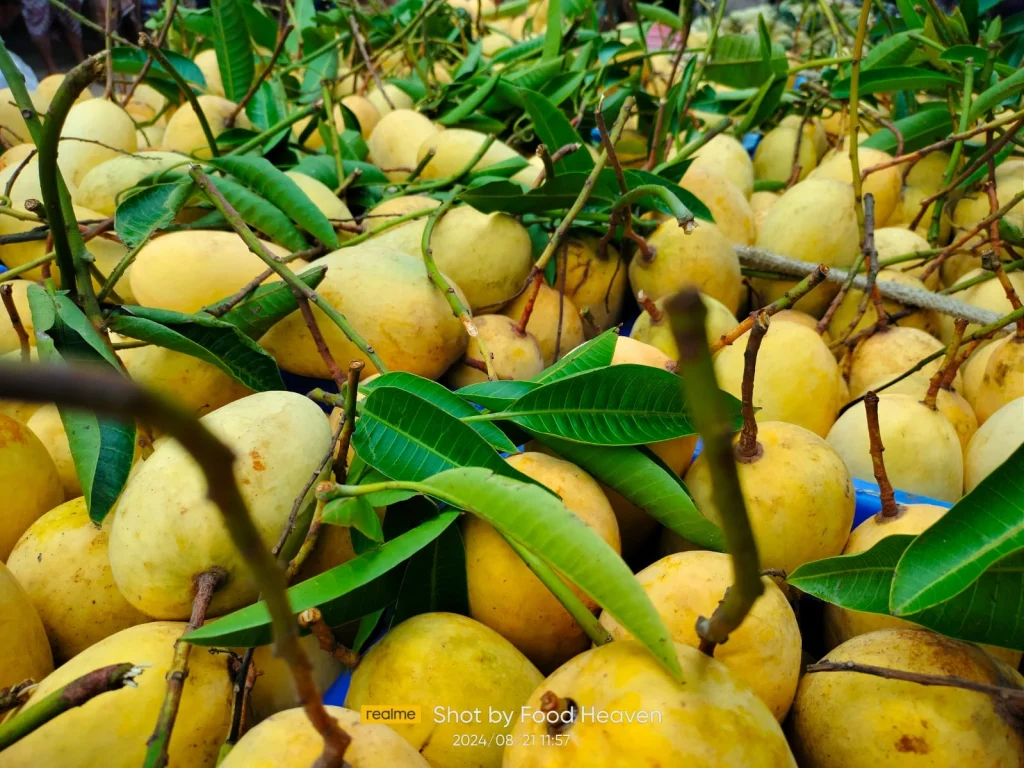 কাটিমন আম (১০কেজির প্যাকেজ)